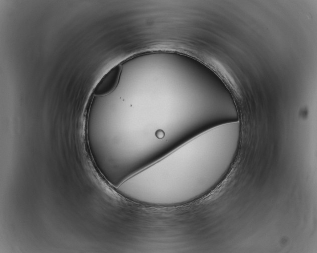 X0000100860900200806200835