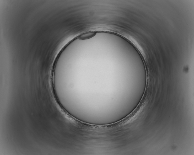 X0000100860901200806200835