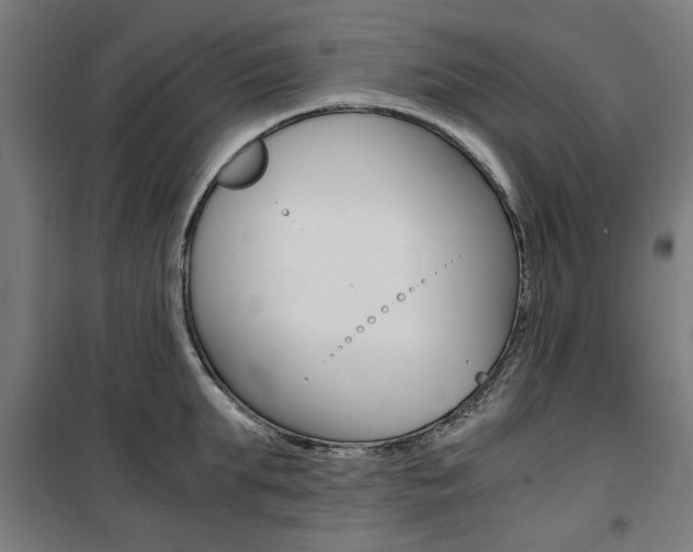 X0000100860903200806200835
