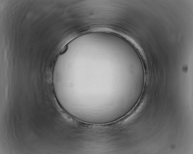 X0000100860905200806200835