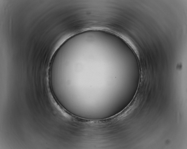 X0000100860906200806200835