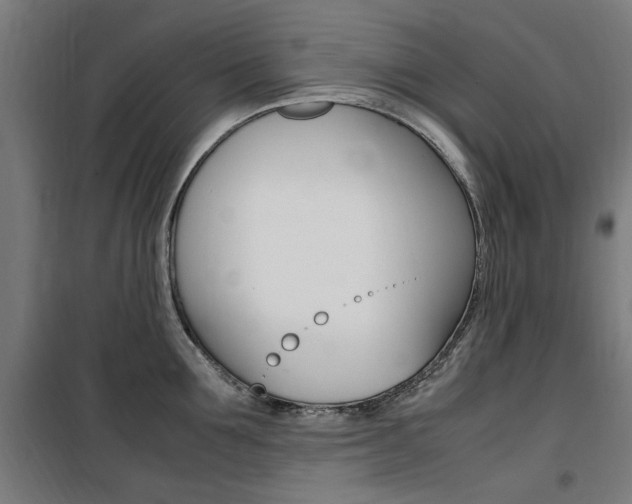 X0000100860907200806200835