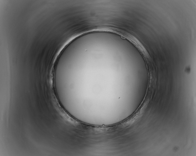 X0000100860908200806200835