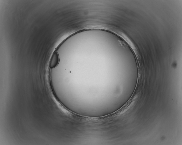 X0000100860909200806200835