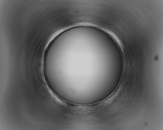 X0000100860910200806200835
