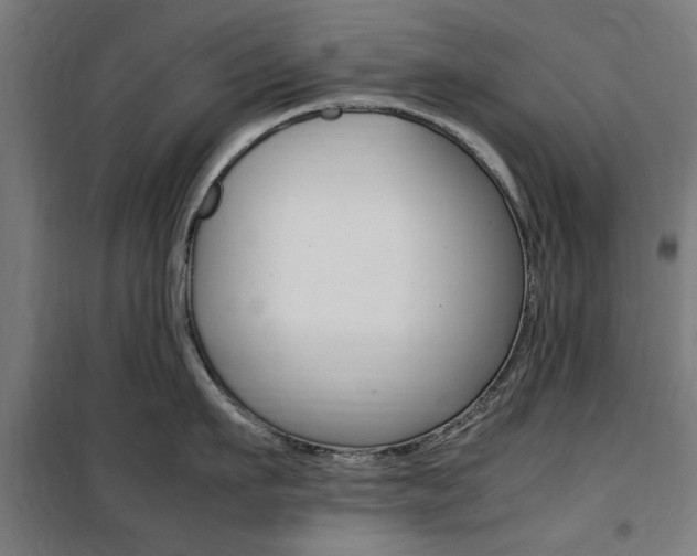 X0000100860911200806200835