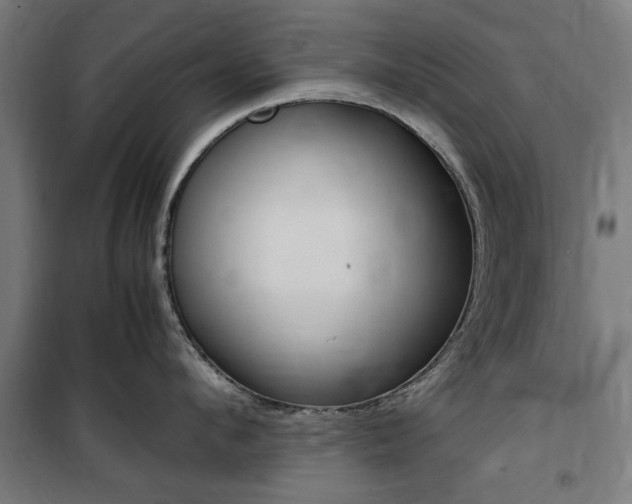 X0000100860912200806200835