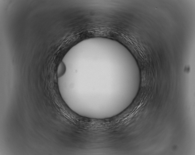 X0000100860913200806200834