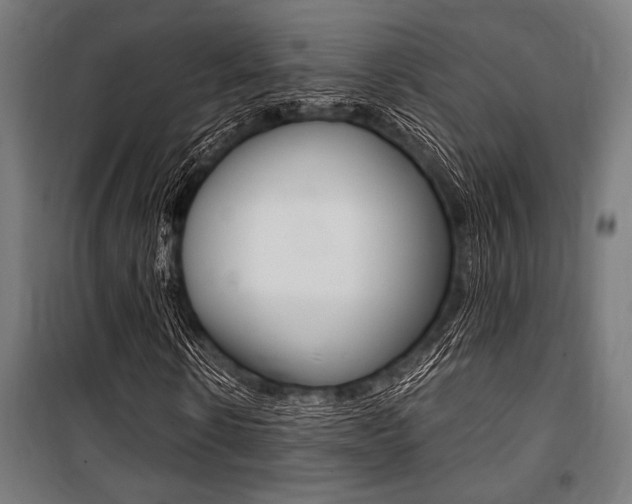 X0000100860914200806200834