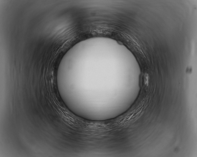 X0000100860915200806200834