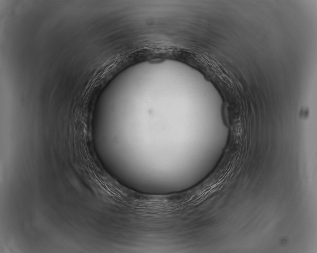 X0000100860916200806200834