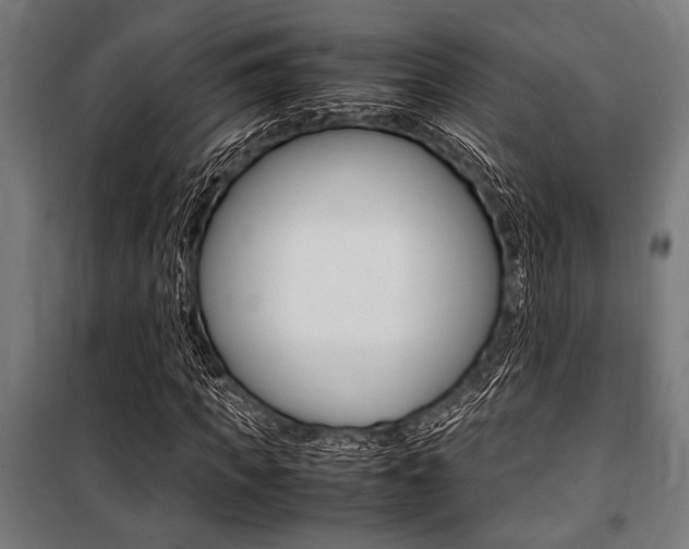 X0000100860917200806200834