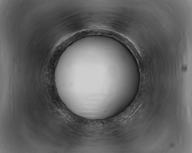 X0000100860919200806200834