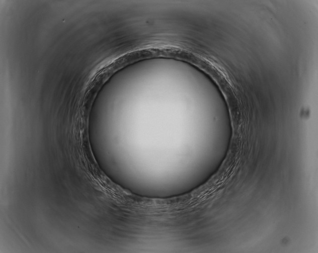 X0000100860920200806200834