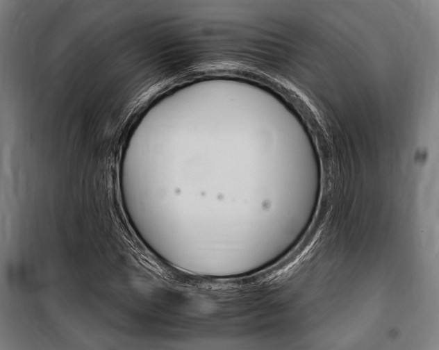 X0000100860921200806200834
