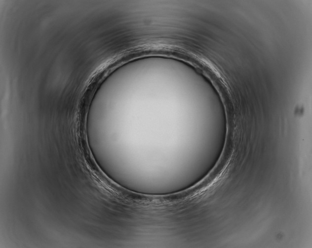 X0000100860922200806200834