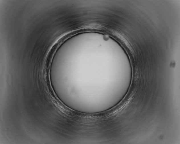 X0000100860923200806200834