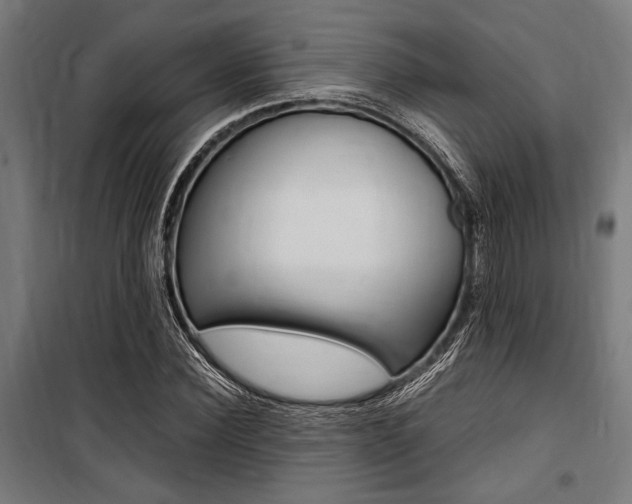 X0000100860924200806200834