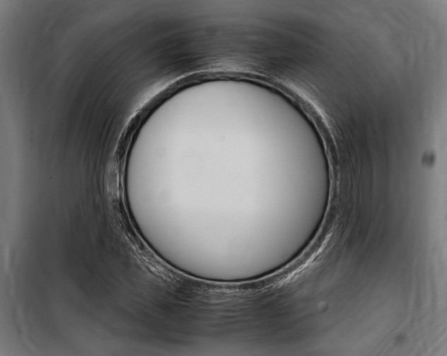 X0000100860925200806200834