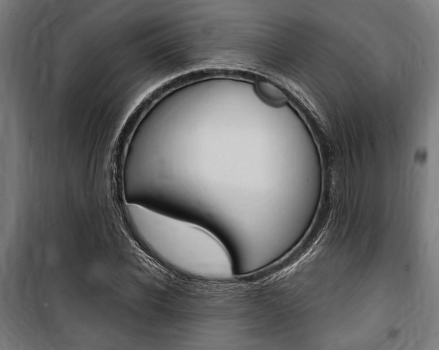 X0000100860926200806200834