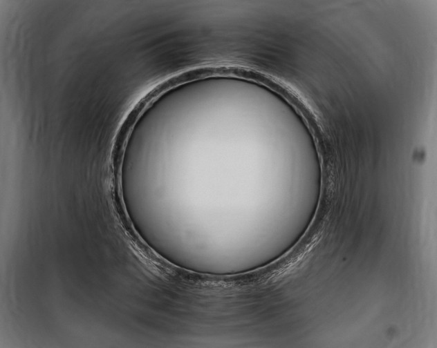X0000100860927200806200835