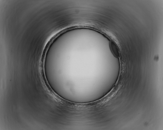 X0000100860928200806200835