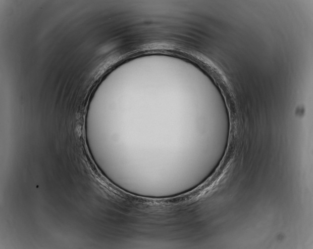 X0000100860929200806200835