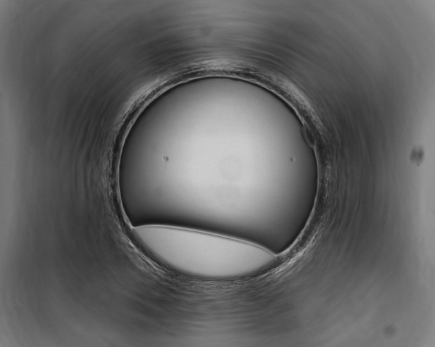 X0000100860930200806200835