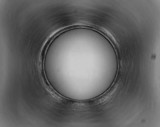 X0000100860931200806200835