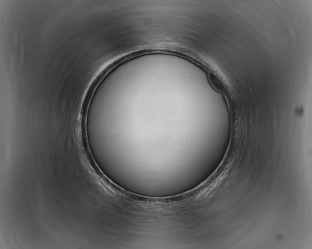 X0000100860932200806200835