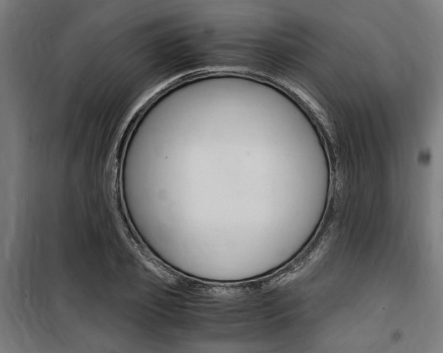X0000100860933200806200835