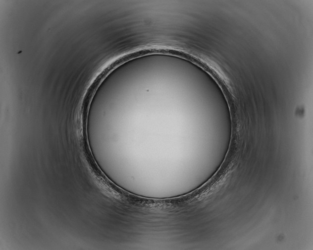 X0000100860934200806200835