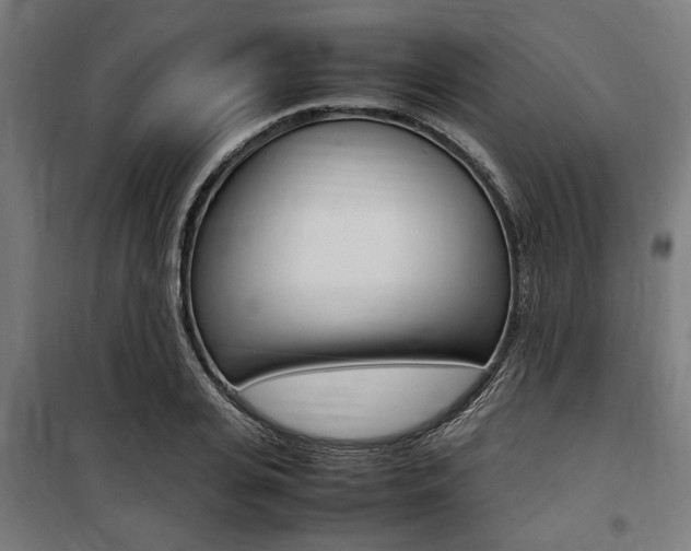 X0000100860935200806200835