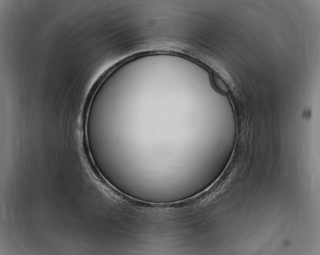 X0000100860936200806200835