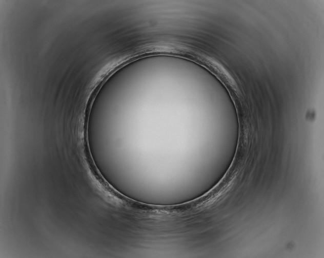 X0000100860938200806200835