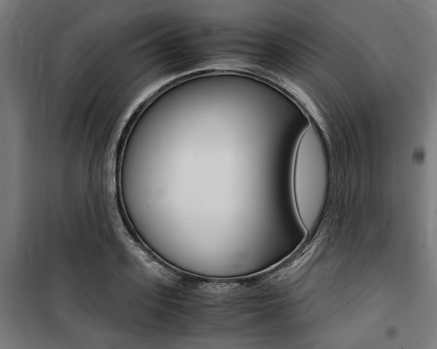 X0000100860939200806200835