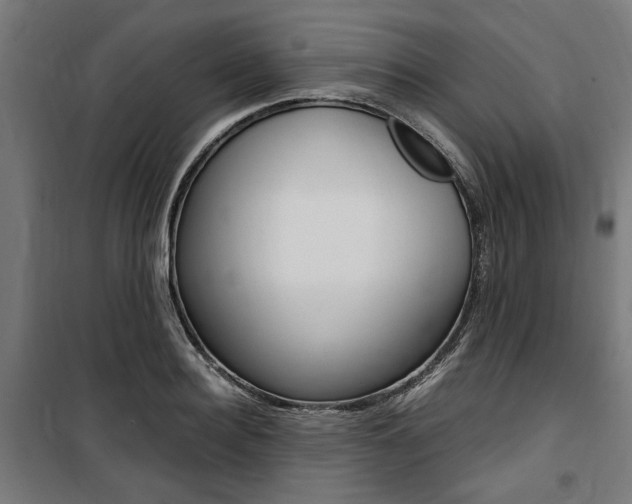 X0000100860940200806200835