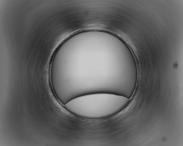 X0000100860941200806200835