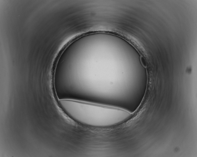 X0000100860942200806200835