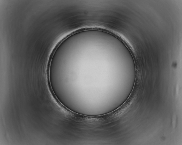 X0000100860943200806200835