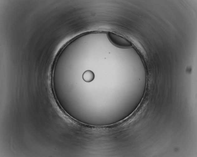 X0000100860944200806200835