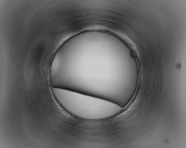 X0000100860945200806200835