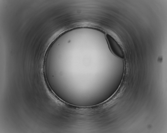X0000100860946200806200835