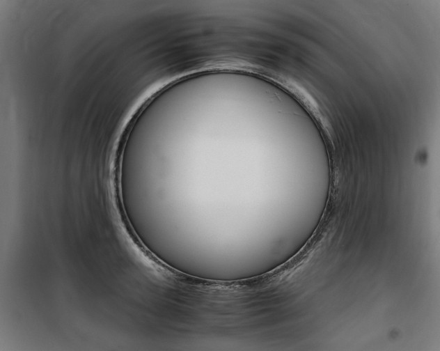 X0000100860947200806200835