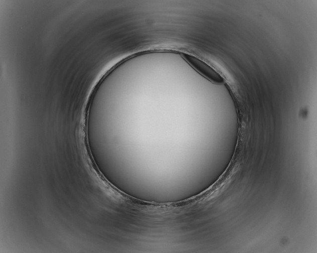 X0000100860948200806200835