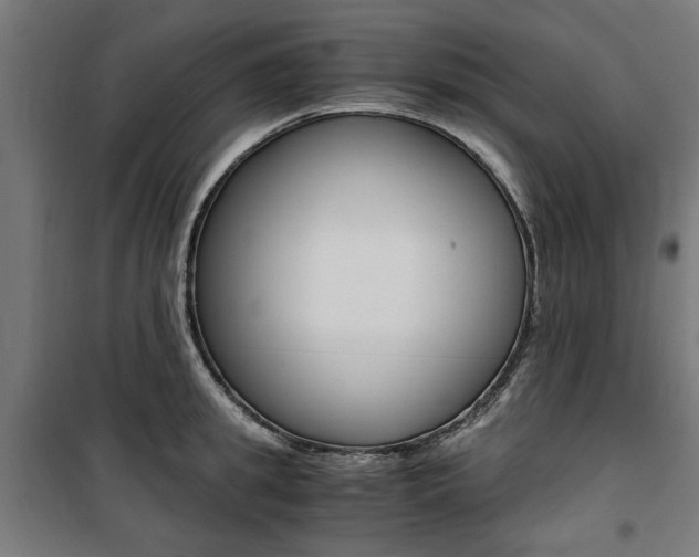 X0000100860949200806200835
