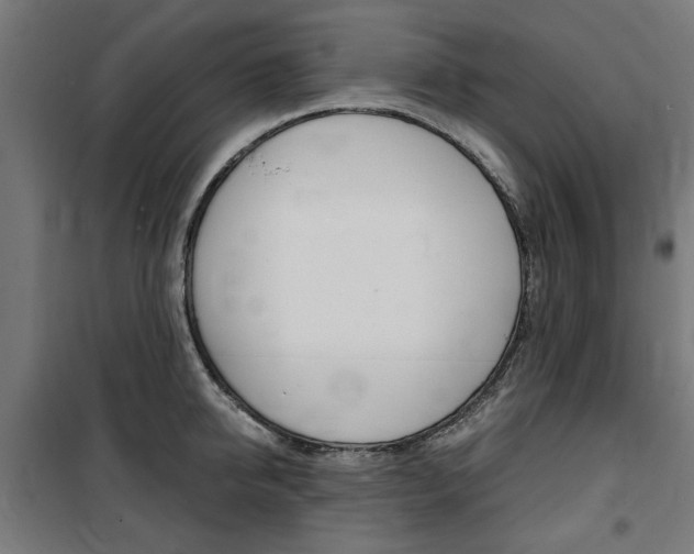 X0000100860950200806200835