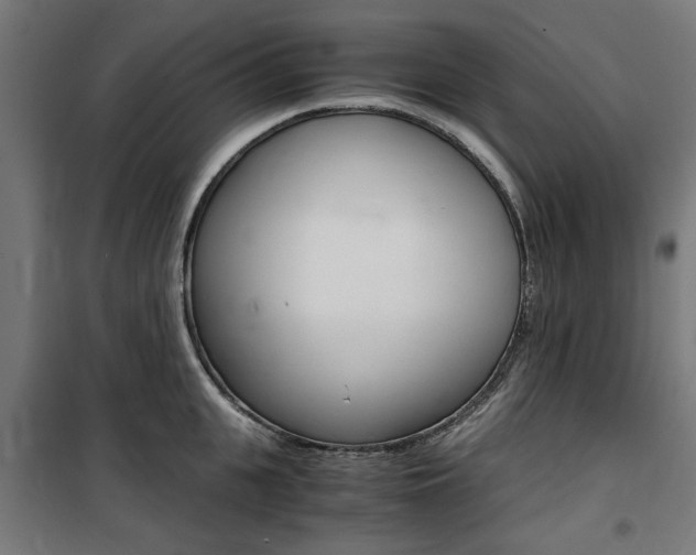 X0000100860951200806200835
