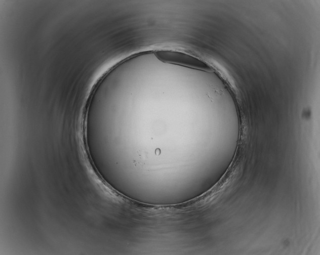 X0000100860952200806200835