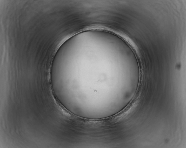 X0000100860953200806200835